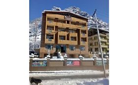 Hotel Park Paradise Manali